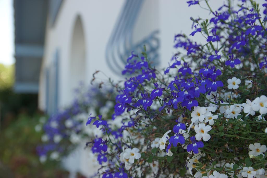 Chambre d'Hôtes Etchebri Anglet Exterior foto